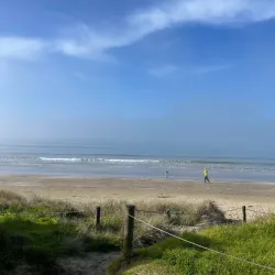 Long Bay Regional Park - North Shore