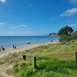 Long Bay Regional Park - North Shore