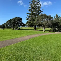 Long Bay Regional Park - North Shore