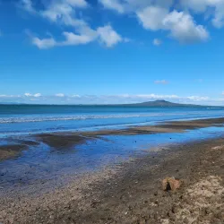 Milford Beach - North Shore