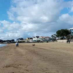 Milford Beach - North Shore