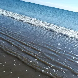 Milford Beach - North Shore