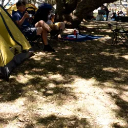 Milford Beach - North Shore