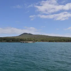 Rangitoto Island - North Shore
