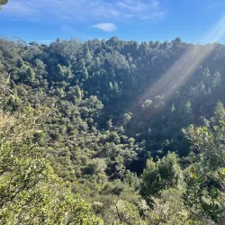 Rangitoto Island - North Shore