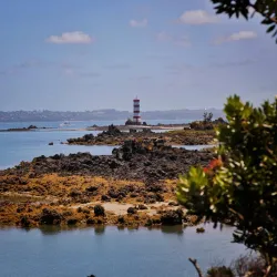 Rangitoto Island - North Shore