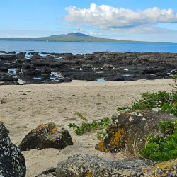 Takapuna Beach - North Shore