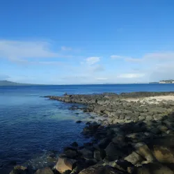 Takapuna Beach - North Shore
