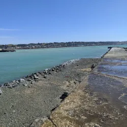 Blue Penguin Colony Visitor Centre - Oamaru