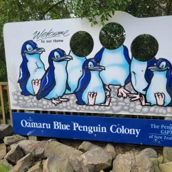 Blue Penguin Colony Visitor Centre - Oamaru
