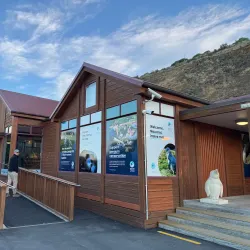 Oamaru Blue Penguin Colony - Oamaru