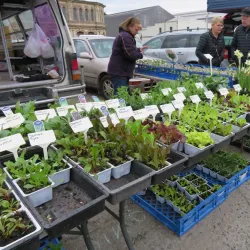 Oamaru Farmers Market - Oamaru