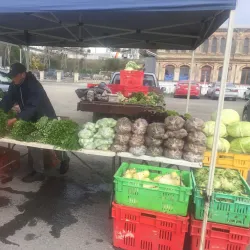 Oamaru Farmers Market - Oamaru