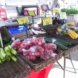Oamaru Farmers Market - Oamaru
