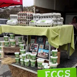 Oamaru Farmers Market - Oamaru