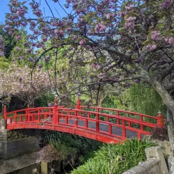 Oamaru Public Gardens - Oamaru