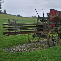 Totara Estate Vineyard - Oamaru