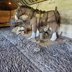 Totara Estate Vineyard - Oamaru