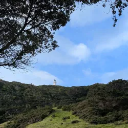 East Cape Lighthouse (Day Trip) - Opotiki