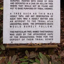 Opotiki Domain - Opotiki