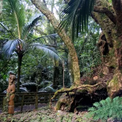 Opotiki Domain - Opotiki