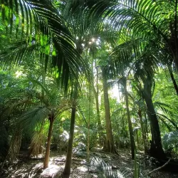 Opotiki Domain - Opotiki