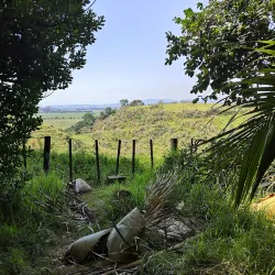 Opotiki Domain - Opotiki