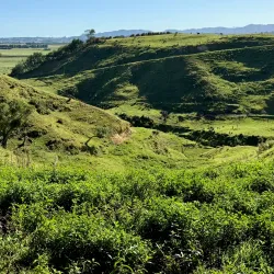 Opotiki Domain - Opotiki