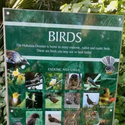 Opotiki Domain - Opotiki