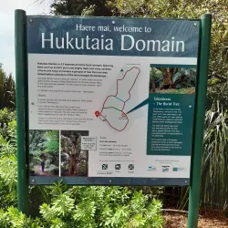 Opotiki Domain - Opotiki