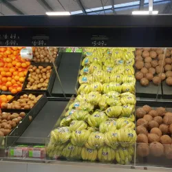 Opotiki Farmers Market - Opotiki