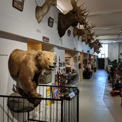Opotiki Museum and Gallery - Opotiki