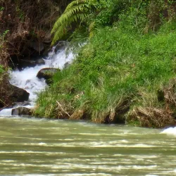 Waioeka Gorge - Opotiki