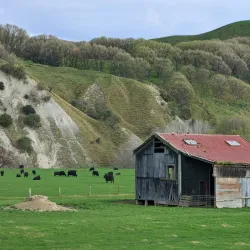 Waioeka Gorge - Opotiki