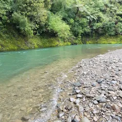 Waioeka Gorge - Opotiki