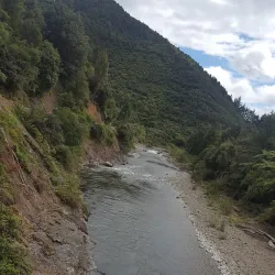 Waioeka Gorge - Opotiki