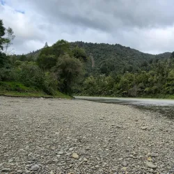 Waioeka Gorge - Opotiki