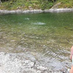Waioeka Gorge - Opotiki