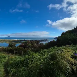 Whakatane River Walkway - Opotiki