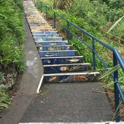 Whakatane River Walkway - Opotiki
