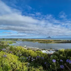 Whakatane River Walkway - Opotiki