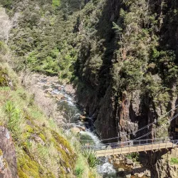 Karangahake Gorge (near Paeroa) - Paeroa
