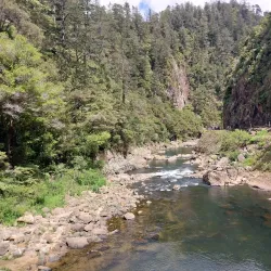 Karangahake Gorge (near Paeroa) - Paeroa