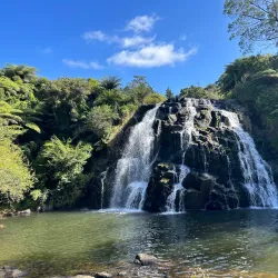 Karangahake Gorge (near Paeroa) - Paeroa