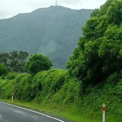 Lemon & Paeroa (L&P) Bottle Statue - Paeroa