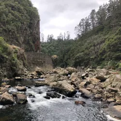 Ohinemuri River Walkway - Paeroa