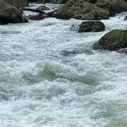 Ohinemuri River Walkway - Paeroa