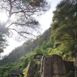Ohinemuri River Walkway - Paeroa