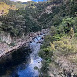 Ohinemuri River Walkway - Paeroa