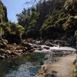 Ohinemuri River Walkway - Paeroa